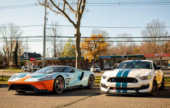 Picture Ford, Shelby, GT, Mustang GT350