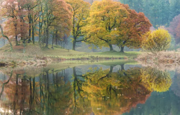Picture autumn, trees, reflection, river, England, England, Cumbria, River Brathay, Cumbria, Brathay, Bratey, River Bratey
