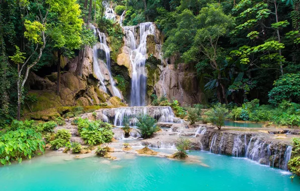 Picture forest, trees, stones, rocks, waterfall, Laos, Laos, Kouangxi Water Fall