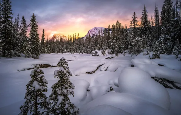 Picture winter, forest, the sky, clouds, light, snow, sunset, mountains, stones, ate, the snow, Christmas trees