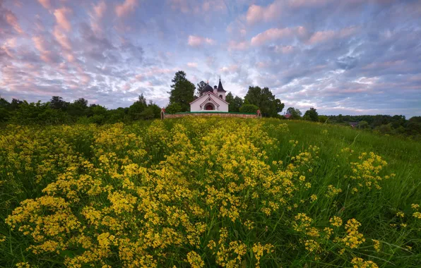 Picture landscape, nature, Church, grass, Konstantin Voronov