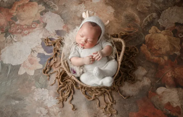 Picture flowers, pose, background, child, sleep, pile, baby, costume, sleeping, man, outfit, lies, fur, image, basket, …