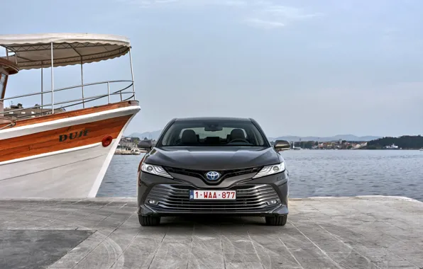 Picture shore, Toyota, sedan, front, the ship, Hybrid, Camry, 2019