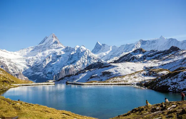Picture Switzerland, Snow, mountain, Lake, Trip Grindelwald