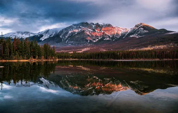 Picture forest, mountains, reflection, the slopes, tops, pond, mirror