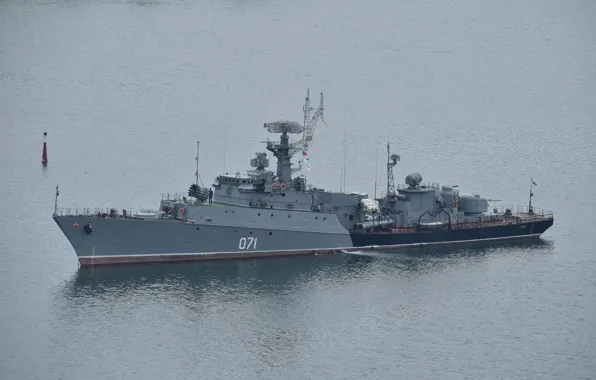 Picture ship, anti-submarine, small, Sevastopol, suzdalets, project 1124m