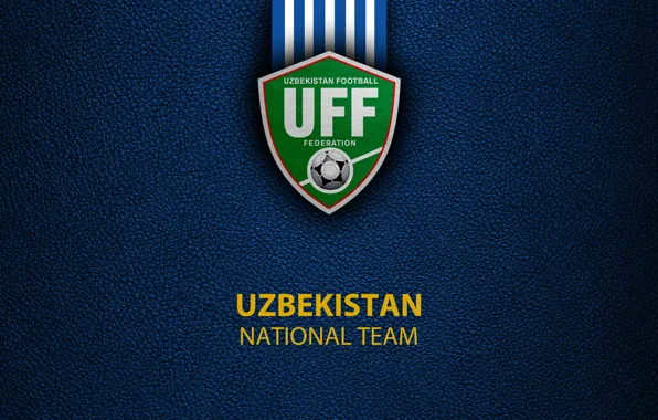 Picture wallpaper, sport, logo, football, National team, Uzbekistan