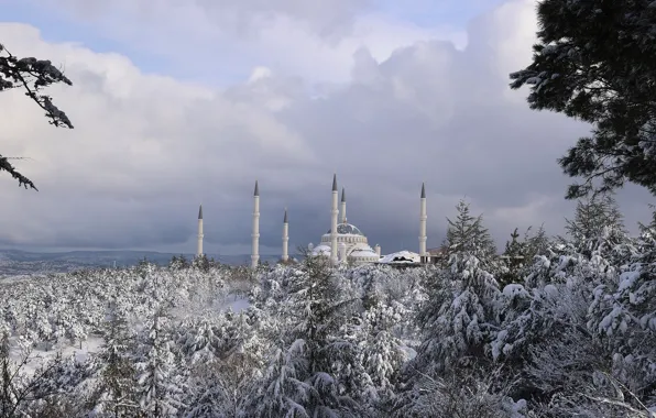 Picture trees, winter, snow, mosque, istanbul