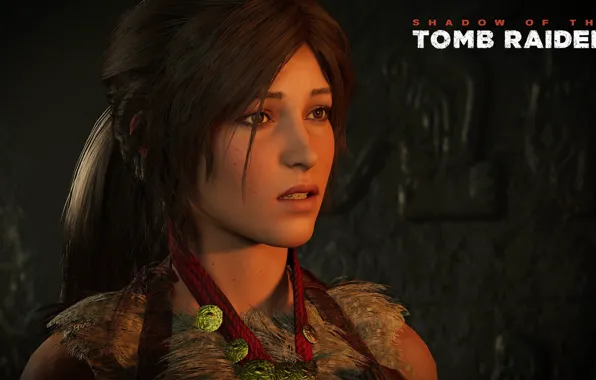 Picture eyes, hair, Tomb Raider, Lara Croft, Shadow of the Tomb Raider