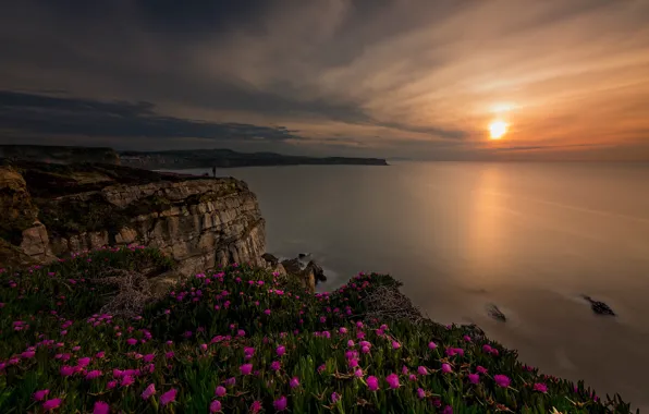 Picture sea, sunset, flowers, rocks, coast, Spain, Spain, The Bay of Biscay, Cantabria, Cantabria, Bay of …