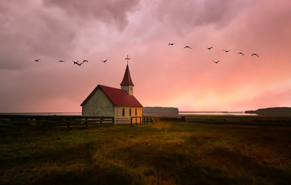 Picture field, birds, Church
