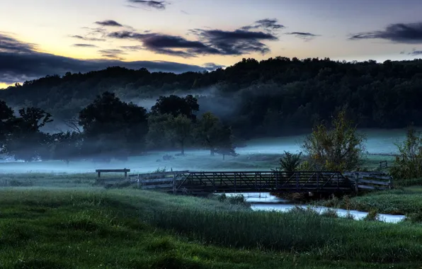 Picture field, bridge, fog, morning