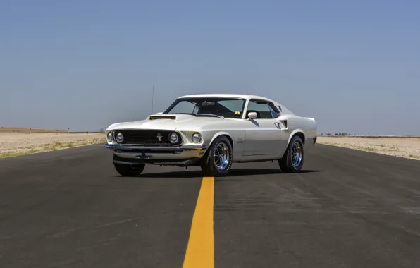 Picture Mustang, Ford, White, Boss 429