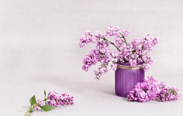 Picture background, vase, lilac