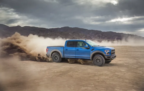 Picture Ford, Dust, Speed, Raptor, F-150, 2019, Ford F-150 Raptor
