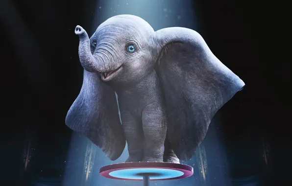 Picture the film, circus, Elephant, Movie, Dumbo, Dumbo, film 2019