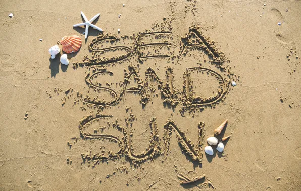 Picture sand, beach, summer, shell, summer, beach, sea, sand, marine, starfish, seashells