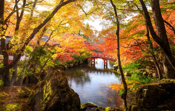 Picture autumn, rays, light, trees, landscape, nature, pond, Park, stones, Japan, the bridge