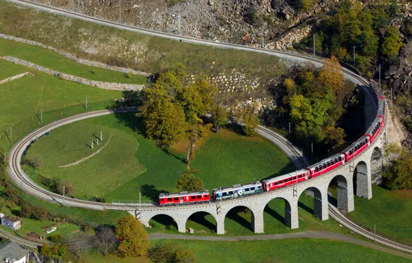 Picture Tree, Switzerland, Train, Viaduct, The spiral viaduct, Brusio, Spiral viaduct in Brusio
