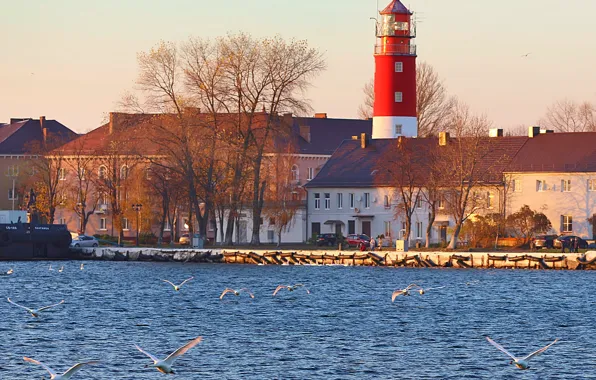 Picture sea, people, lighthouse, swans, Baltiysk