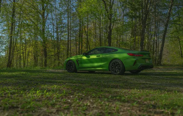 Picture coupe, BMW, side, Coupe, 2020, BMW M8, two-door, M8, M8 Competition Coupe, M8 Coupe, F92