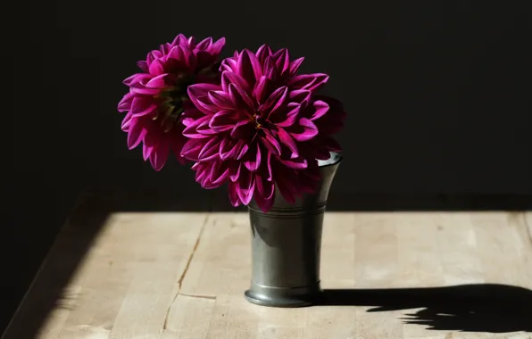 Picture light, flowers, shadow
