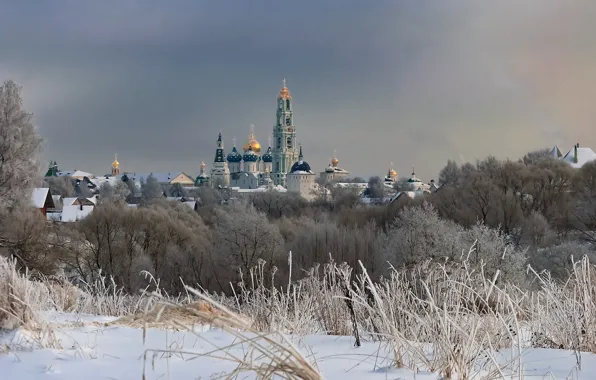 Picture winter, snow, trees, landscape, nature, the monastery, dome, The Trinity-Sergius Lavra, Sergiev Posad