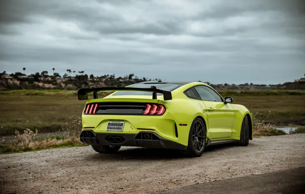 Picture Mustang, Ford, rear view, tuning, 2019, Revenge GT