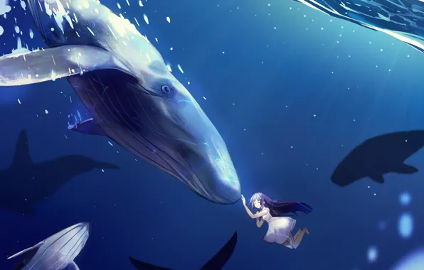 Picture girl, whales, under water
