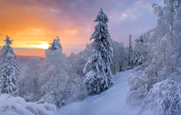 Picture winter, snow, trees, landscape, sunset, nature, Taganay
