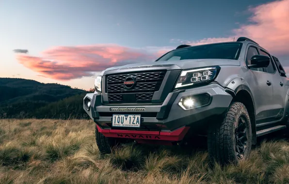Picture the sky, clouds, mountains, pickup, exterior, 2021, густая трава, Dual Cab, D23, Nissan Navara PRO-4X …