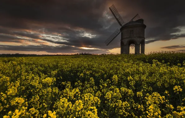 Picture summer, the sky, sunset, flowers, clouds, yellow, space, arch, rape, windmill, rapeseed field
