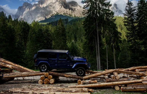 Picture blue, SUV, 4x4, Jeep, coniferous forest, 2019, Wrangler Unlimited 1941 Sahara