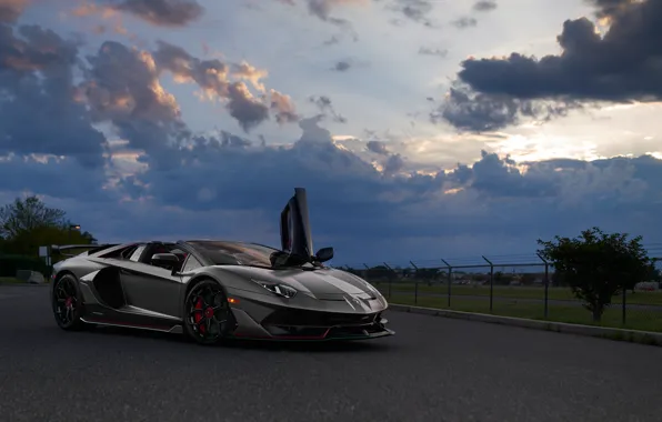 Picture Roadster, Aventador, Evening