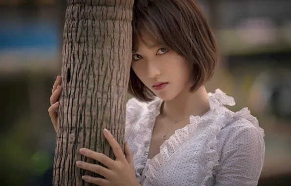 Picture look, girl, tree, trunk, blouse, brown hair