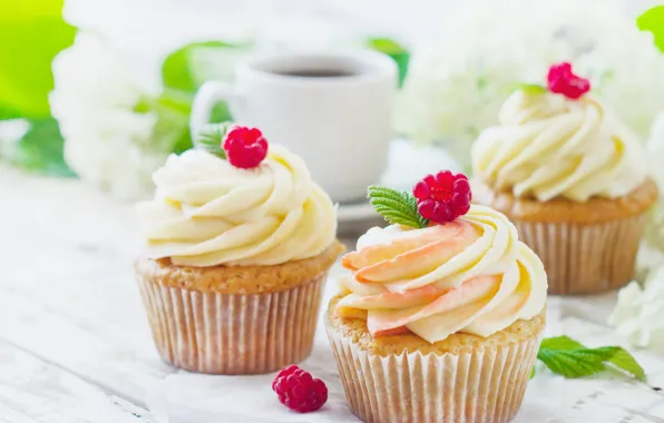 Picture raspberry, cake, cream, cupcakes, vanilla, Aksana Yasiuchenia