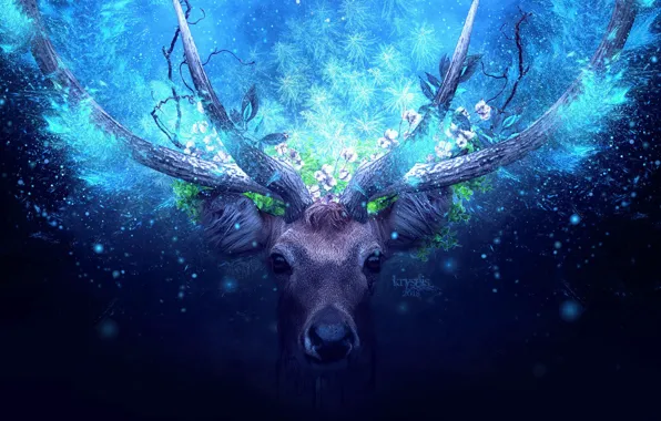 Picture greens, look, animal, magic, foliage, deer, horns, magic, rays of light, animal, look, greenery, deer, …