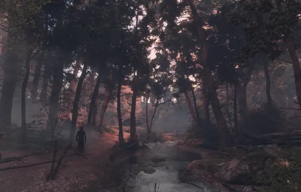 Picture forest, trees, river, a plague tale: innocence