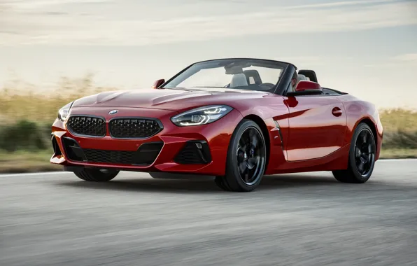 Picture road, grass, red, BMW, Roadster, BMW Z4, First Edition, M40i, Z4, 2019, G29