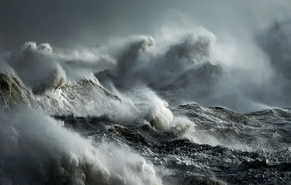 Picture sea, wave, squirt, storm, element