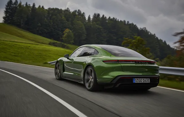 Picture forest, Porsche, back, Turbo S, 2020, Taycan