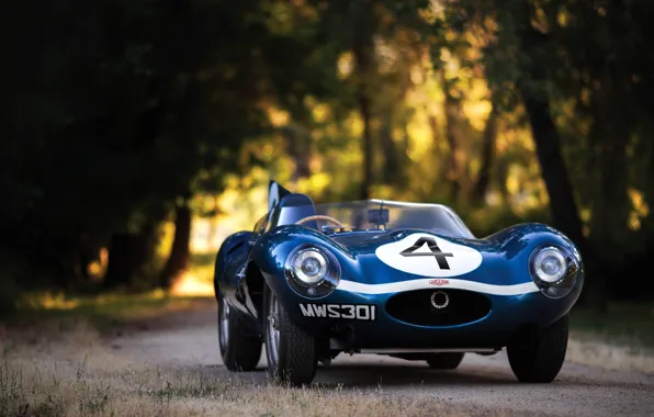 Picture Blue, Race Car, Number, Jaguar D-Type
