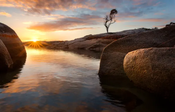 Picture sunset, stones, tree, rocks, pond