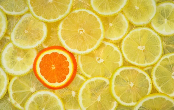 Picture macro, lemon, orange, citrus