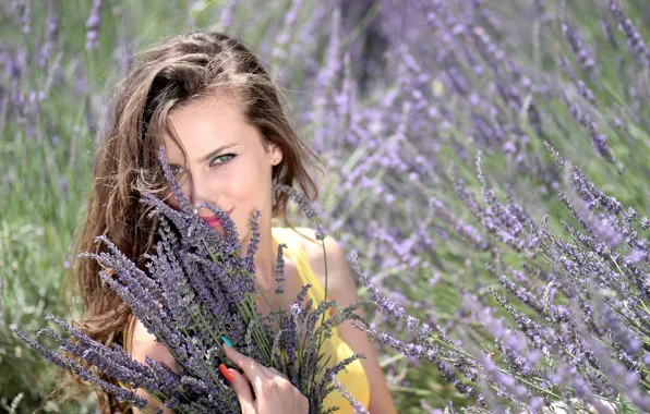 Picture field, look, girl, lavender