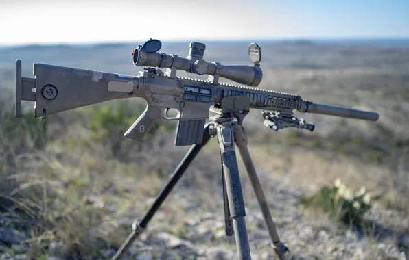 Picture optics, Assault rifle, M110G