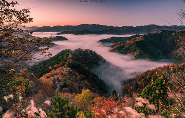 Picture Japan, morning mist, Shiga Prefecture, wooded hills