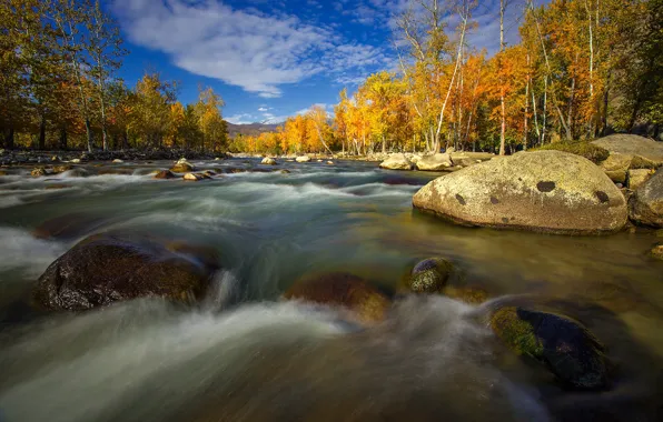 Picture autumn, trees, river, stones