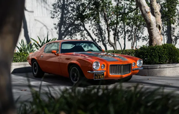 Picture Chevrolet, Camaro, 1970, Z28/RS