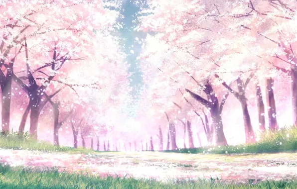 Picture Park, spring, Sakura
